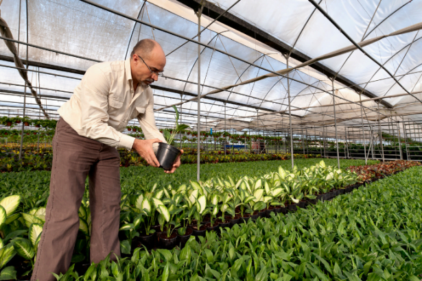 Carlos Eduardo Moraes Nunes