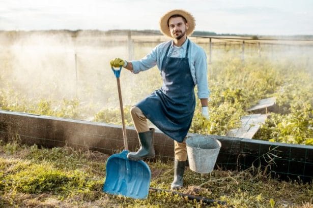 Agenor Vicente Pelissa