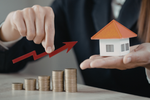 Engenharia patrimonial: como essa estratégia se tornou essencial para proteger e expandir investimentos