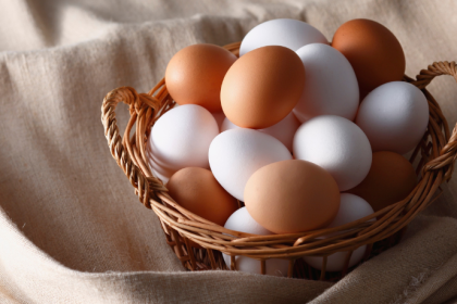 Setor de ovos no Reino Unido enfrenta crise de investimentos e desafios de infraestrutura