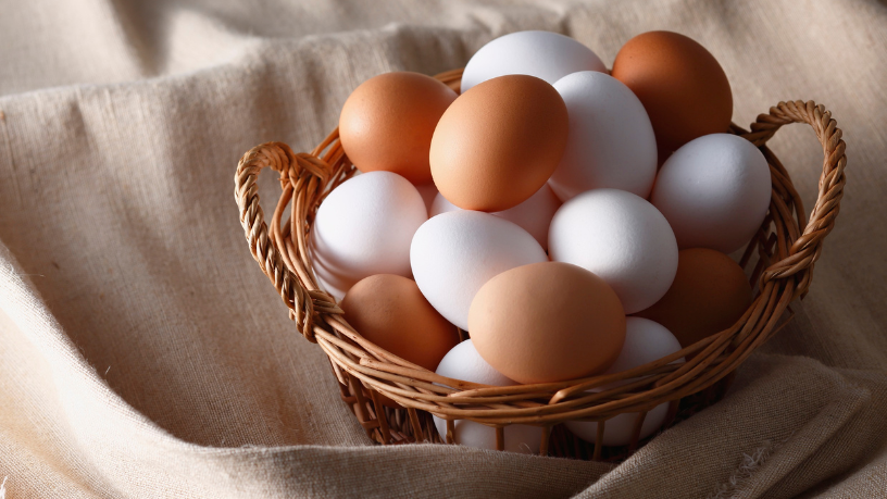 Setor de ovos no Reino Unido enfrenta crise de investimentos e desafios de infraestrutura