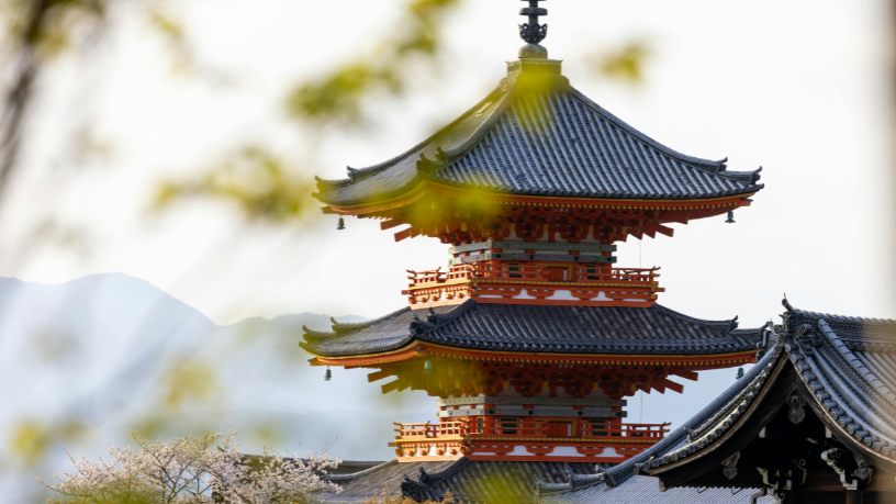 Segundo Alberto Toshio Murakami, a convivência entre templos históricos e inovação tecnológica mostra como o Japão integra passado e futuro para encantar visitantes.