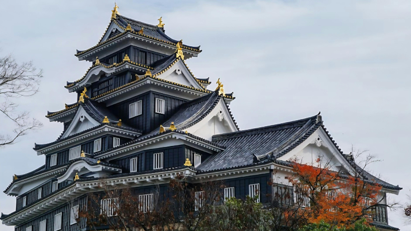 A harmonia entre tradição e tecnologia transforma o Japão em um destino único, e Alberto Toshio Murakami explica como esse equilíbrio redefine a experiência do turista moderno.
